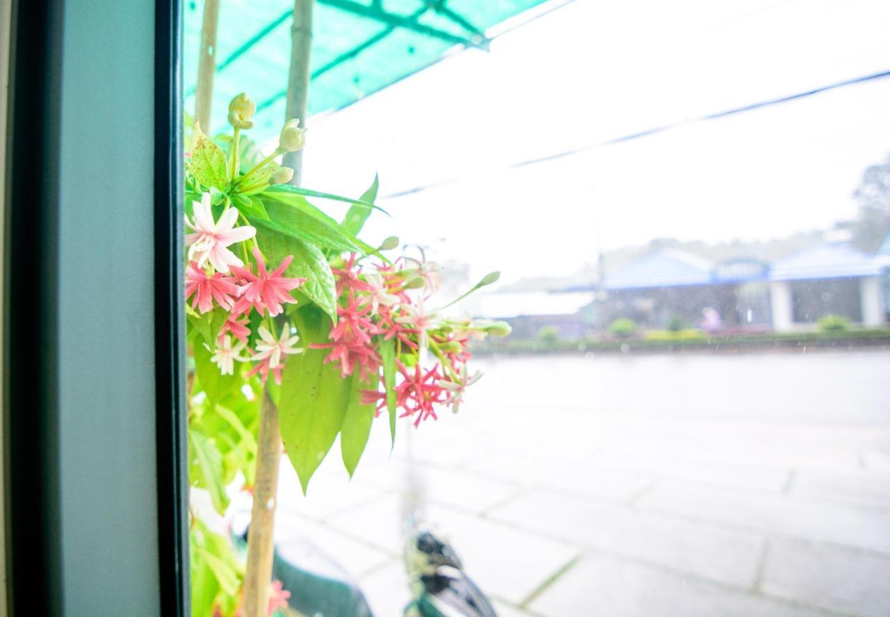 Wanderlust Homestay Phu Quoc Exterior foto